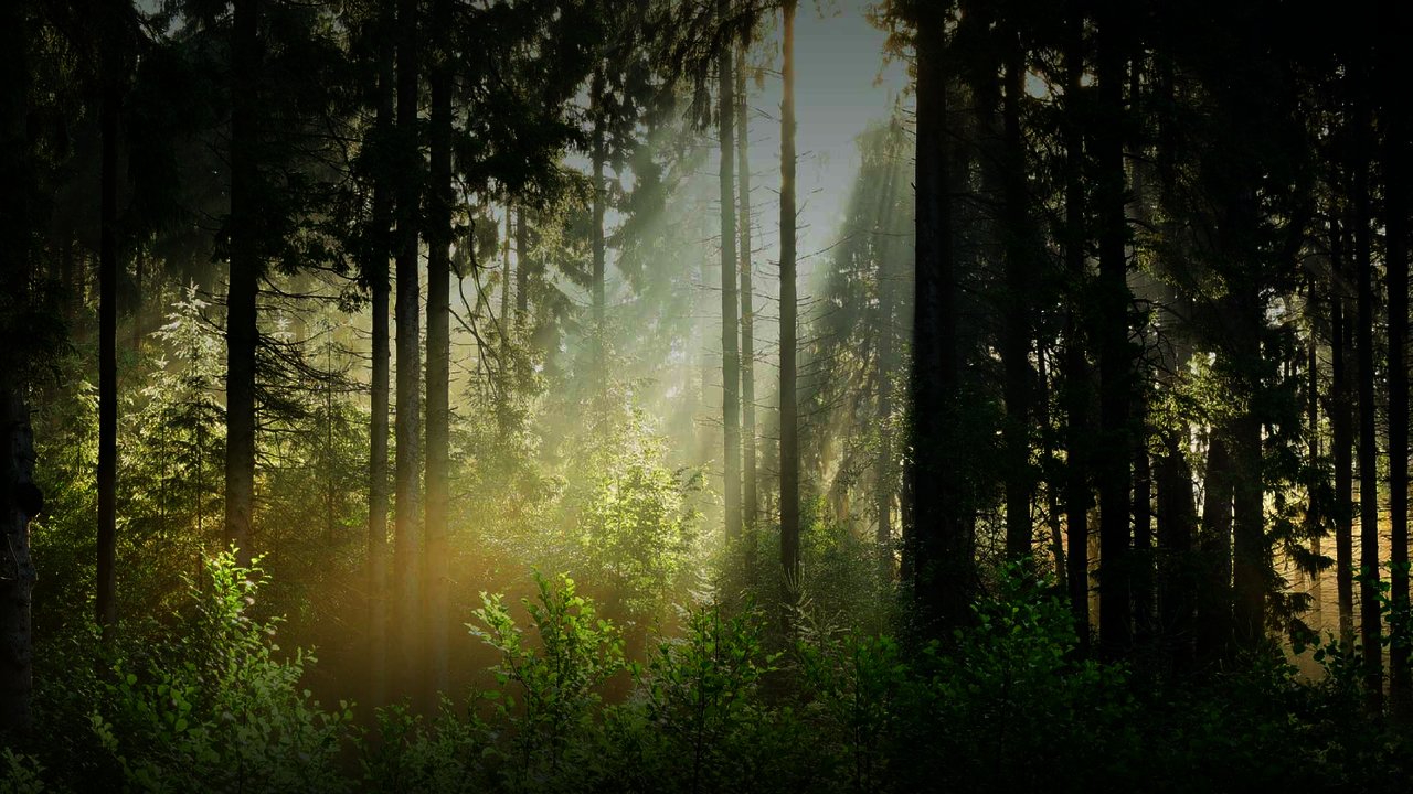 Startseite Holzwerke Bullinger